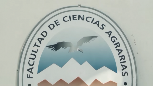 imagen 6 de agosto