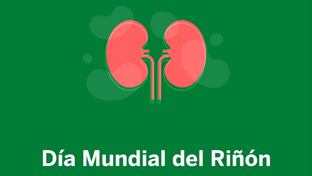 imagen Día Mundial del Riñón 2026