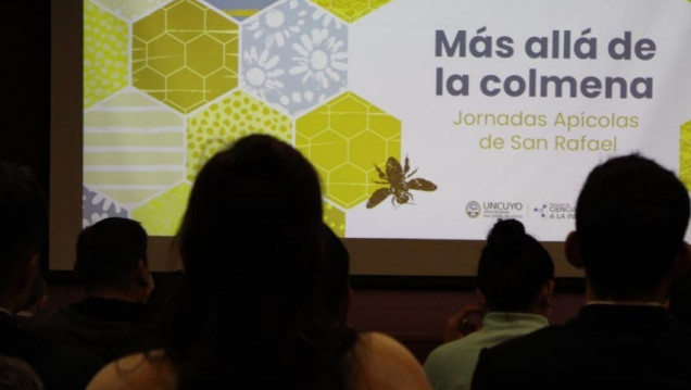 imagen Prácticas sociales educativas: "Más allá de la colmena"