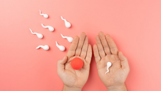 imagen Fertilidad: especialistas de la UNCUYO compartirán información clave