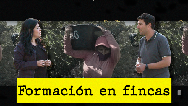 imagen Entretanto - Temp 2 - 17 - Capacitaciones para encargados de fincas