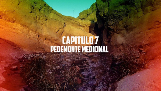 imagen El Pedemonte medicinal