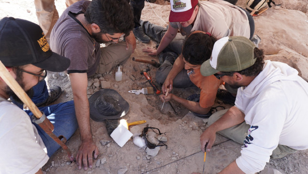 imagen Paleontólogos del Conicet buscan fósiles de dinosaurios en un streaming en vivo