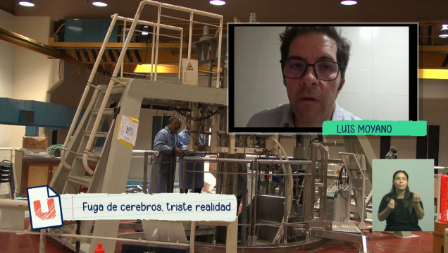 imagen Fuga de cerebros, una triste realidad