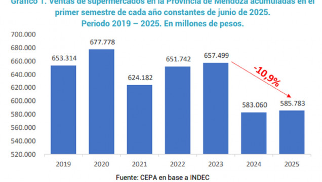 imagen Venta en supermercados en Mendoza: datos a junio de 2025
