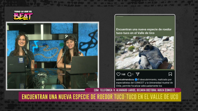 imagen Encuentran una nueva especie de roedor tuco-tuco en el Valle de Uco