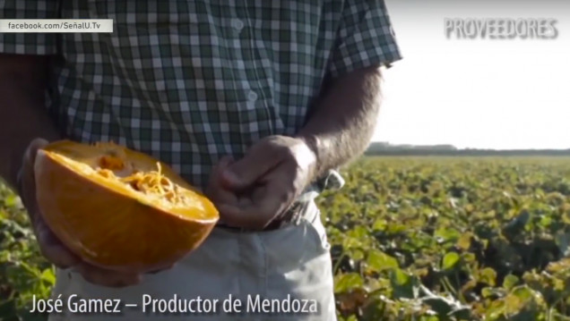 imagen  Agricultura Sustentable