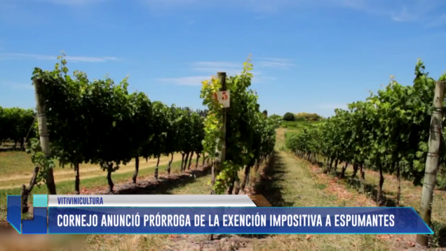 imagen Mendoza impulsará la ley de exención impositiva a espumantes