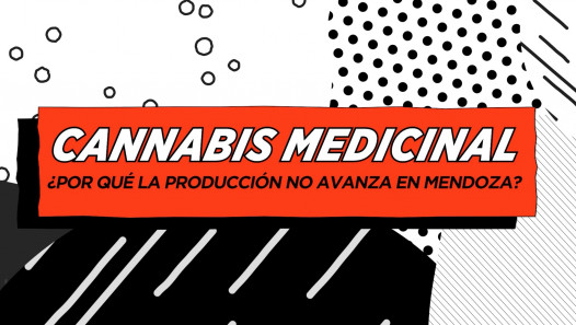 imagen Cannabis medicinal: ¿por qué la producción no avanza en Mendoza?