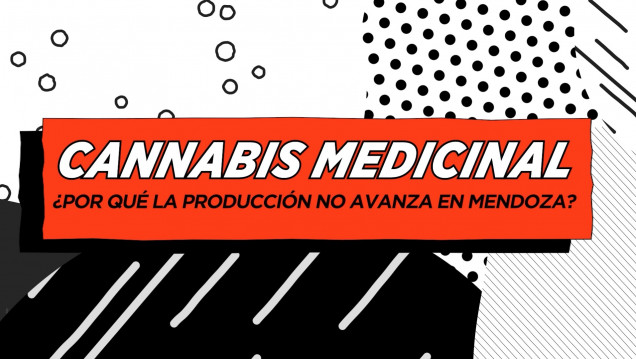 imagen Cannabis medicinal: ¿por qué la producción no avanza en Mendoza?