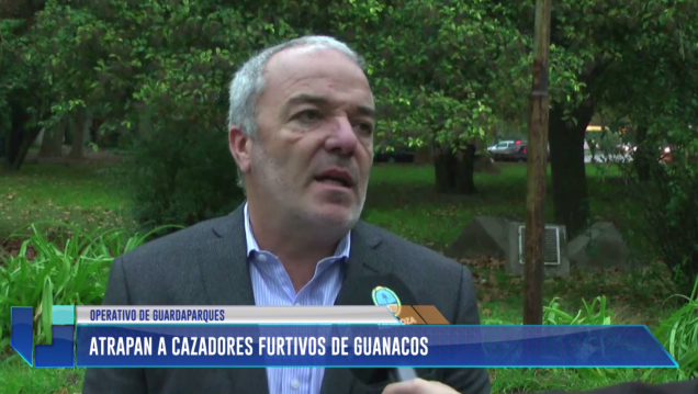 imagen Atrapan a cazadores furtivos de guanacos