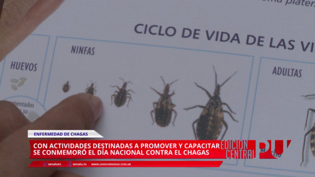 imagen "La vinchuca no es el vampiro de los pobres"
