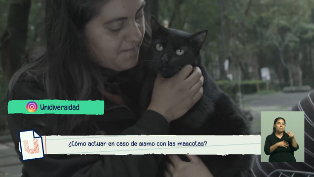 imagen ¿Qué precauciones se deben tener con las mascotas ante un sismo o catástrofe?