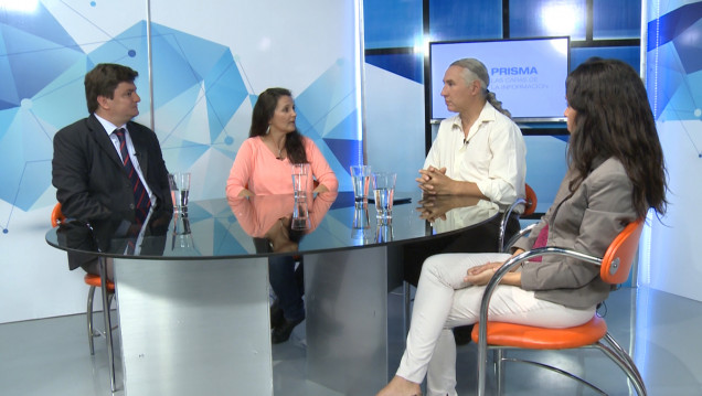 imagen PRISMA programa 02-04 Megajuicios