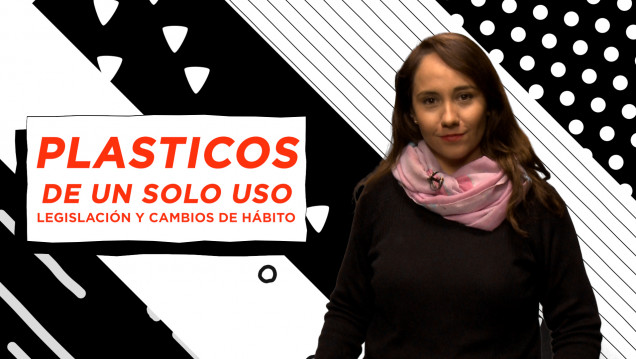 imagen Plásticos de un solo uso: hacia un cambio de paradigma