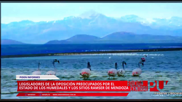 imagen Preocupa el estado de Llancanelo