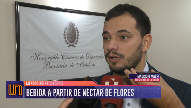 imagen Invención mendocina: creó un vino de néctar de flores