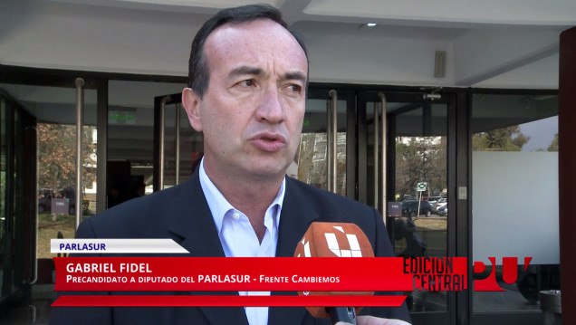 imagen Gabriel Fidel presentó sus propuestas para el Parlasur