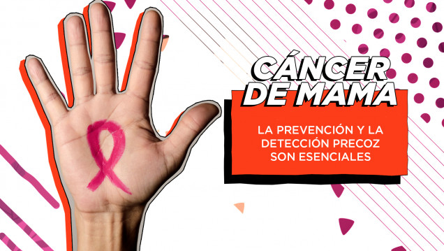 imagen Cáncer de mama: la importancia de la detección precoz