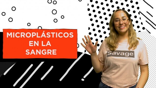 imagen ¿Por qué es importante reciclar los residuos plásticos? 