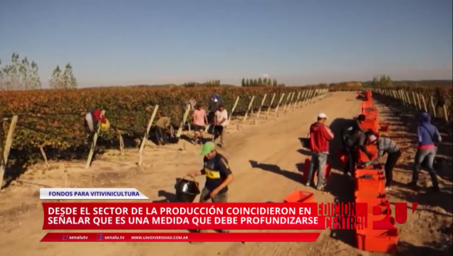 imagen Subsidios al sector vitivinícola para la compra de sobrestock