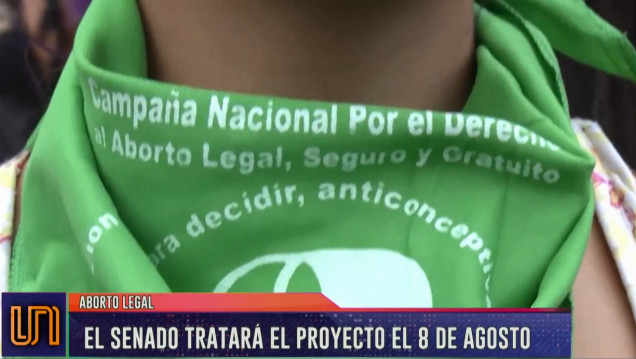 imagen El 8 de agosto se tratará la legalización del aborto en el Senado