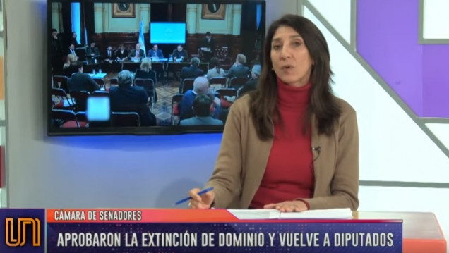 imagen El Senado aprobó la Ley de Extinción Dominio, pero regresa a Diputados