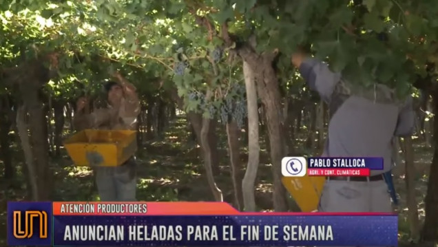 imagen Atención productores: alerta por heladas para el fin de semana