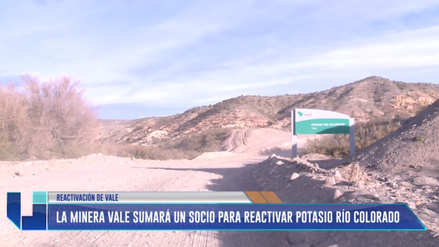 imagen La minera VALE sumará un socio para reactivar mina de potasio