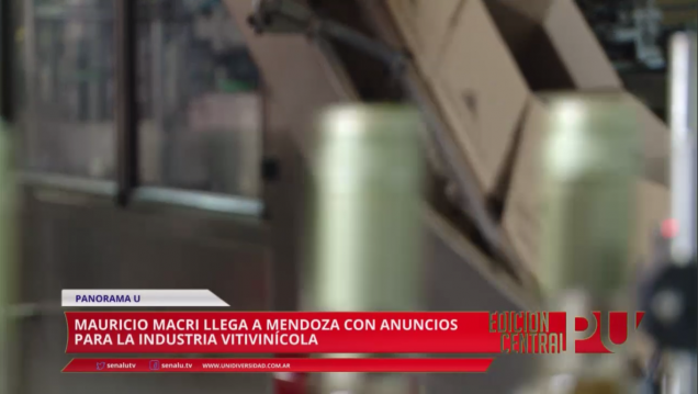 imagen Subsidios para la compra del sobrestock vínico