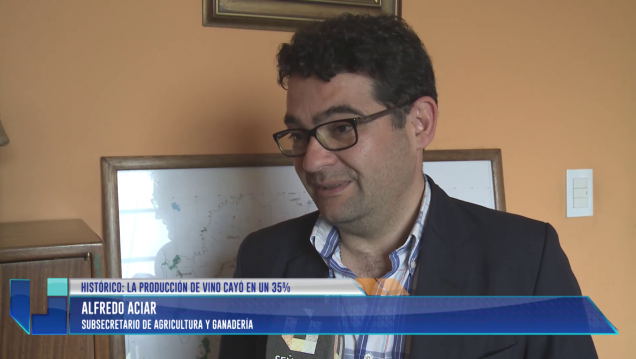 imagen La producción del vino cayó en un 35%