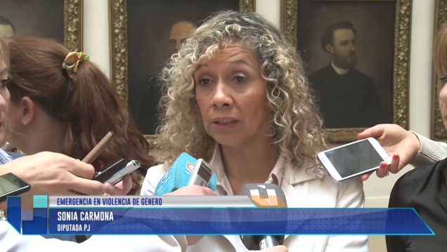 imagen Emergencia en Violencia de Género: Legisladores del PJ piden sesión especial