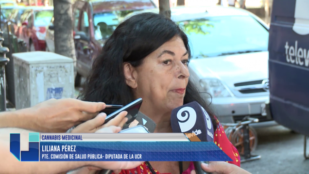 imagen Cannabis medicinal: avanza el debate hacia un protocolo de investigación