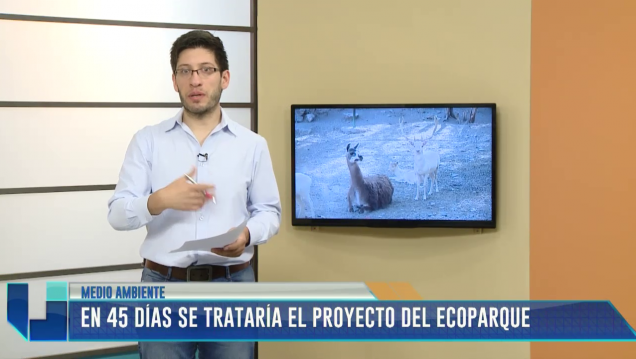imagen UNIDIVERSIDAD NOTICIAS | 04-11-2016 | Edición Mediodía