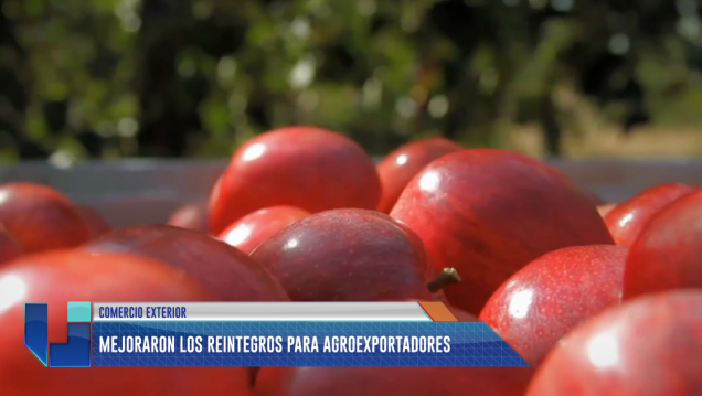imagen Mejoraron los reintegros para agroexportadores