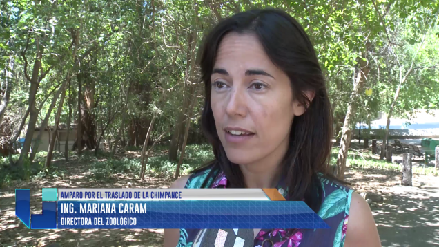 imagen Caram: "El amparo trata a Cecilia como un objeto"