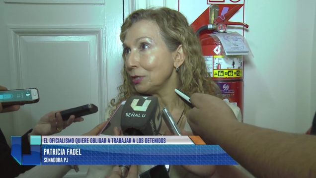 imagen El PJ quiere un debate amplio del proyecto para que trabajen los presos