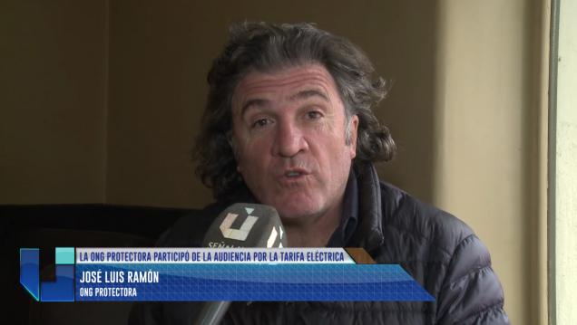 imagen Una ONG mendocina quiere controlar si se hacen inversiones de energía eléctrica