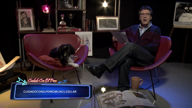 imagen Cuidado con el Perro | Temporada 3 | Capítulo 51 - Animales