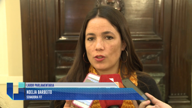 imagen Barbeito: "A este proyecto de ley solo le interesa recaudar"