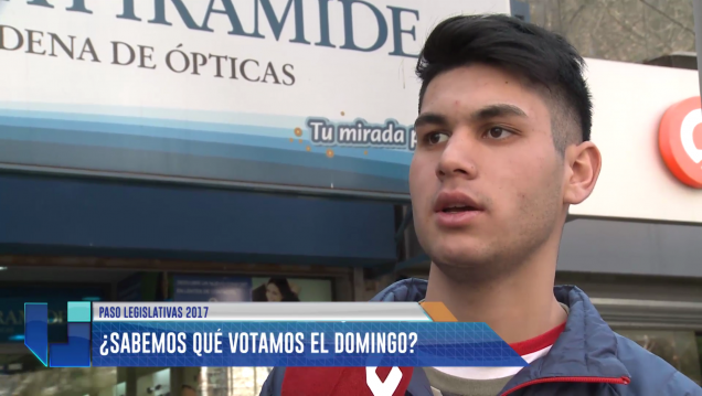 imagen PASO: ¿Sabemos qué votamos el domingo?