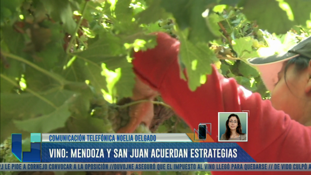imagen UNIDIVERSIDAD NOTICIAS - EDICIÓN MEDIODÍA - Bloque 3 - 01/11/17