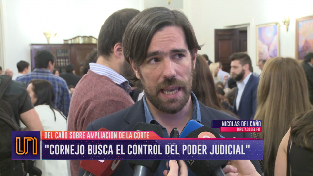 imagen Del Caño: "Cornejo busca controlar el Poder Judicial"