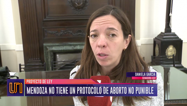imagen Avanza en el Senado el protocolo de aborto no punible para Mendoza