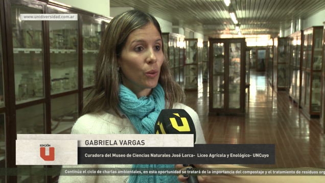imagen Edición U: El Museo de Ciencias Naturales José Lorca realizó actividades