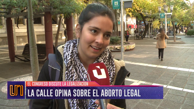 imagen ¿Qué opinan los mendocinos sobre la legalización del aborto?