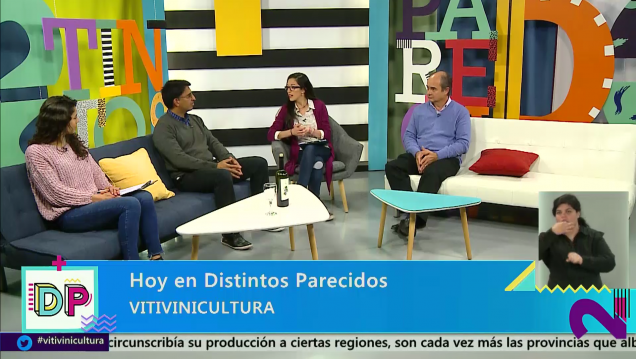 imagen Distintos Parecidos | Temporada 3 | Programa 103: Vitivinicultura