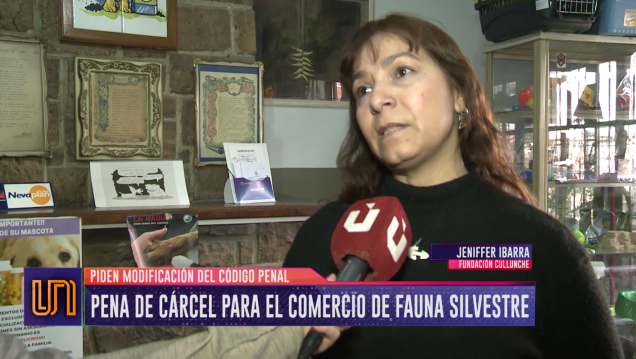 imagen Piden cárcel para quienes comercialicen fauna silvestre