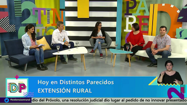imagen Distintos Parecidos | Temporada 3 | Programa 136: Extensión Rural