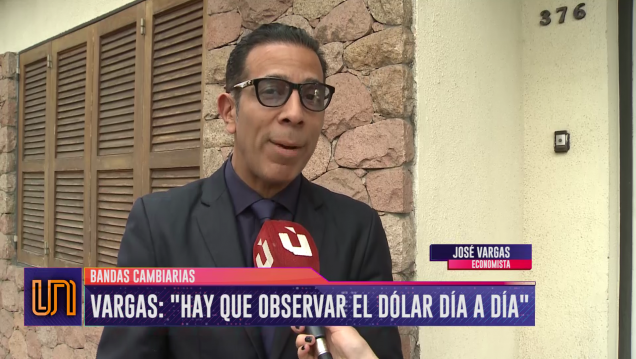 imagen Cómo les fue a las bandas cambiarias que impuso el BCRA